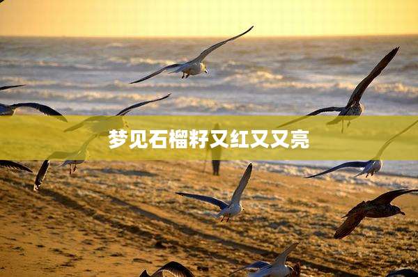 梦见石榴籽又红又又亮