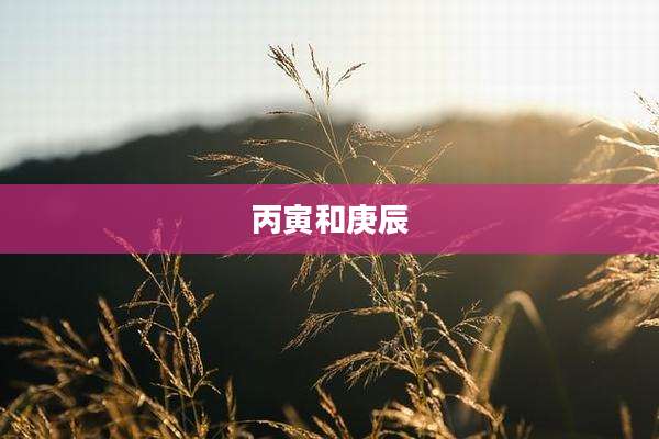 丙寅和庚辰