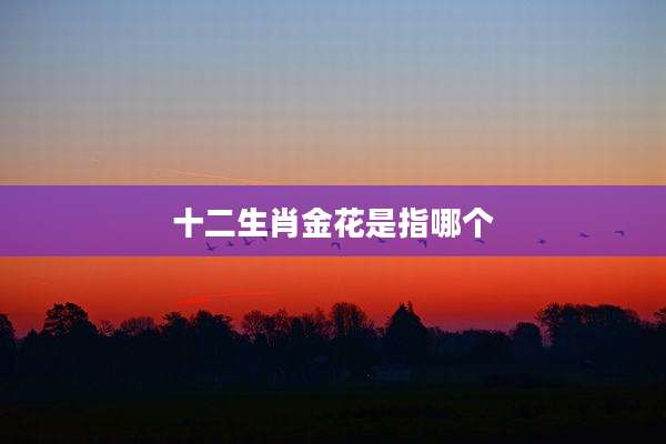 十二生肖金花是指哪个