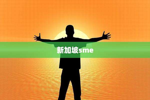 新加坡sme