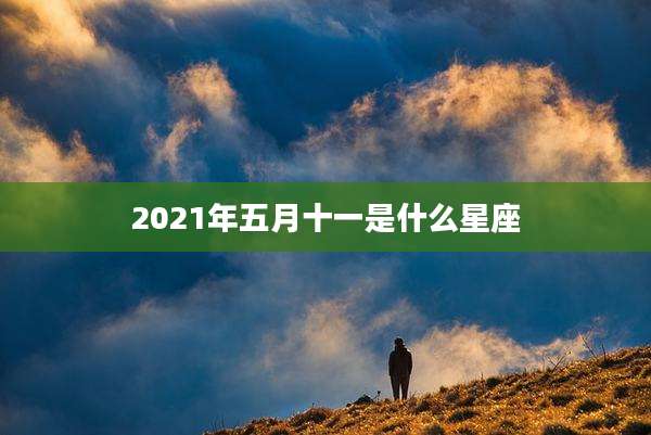 2021年五月十一是什么星座