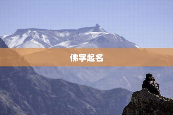 佛字起名