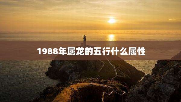 1988年属龙的五行什么属性