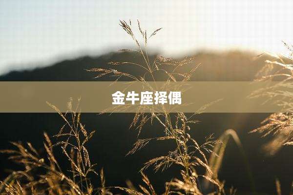 金牛座择偶