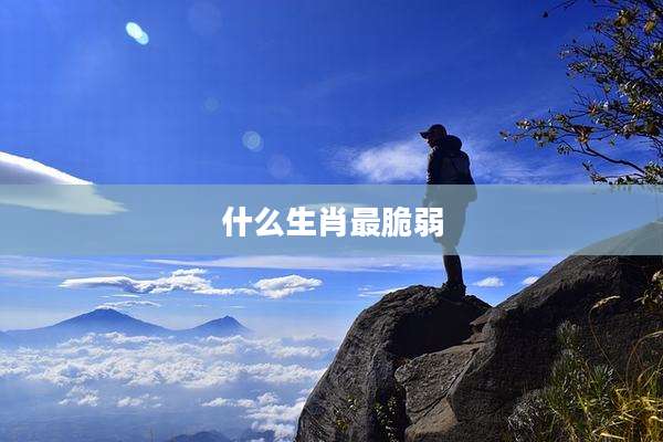 什么生肖最脆弱