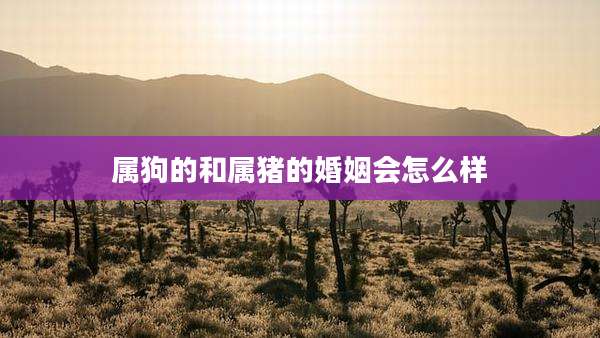 属狗的和属猪的婚姻会怎么样