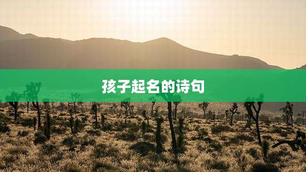 孩子起名的诗句