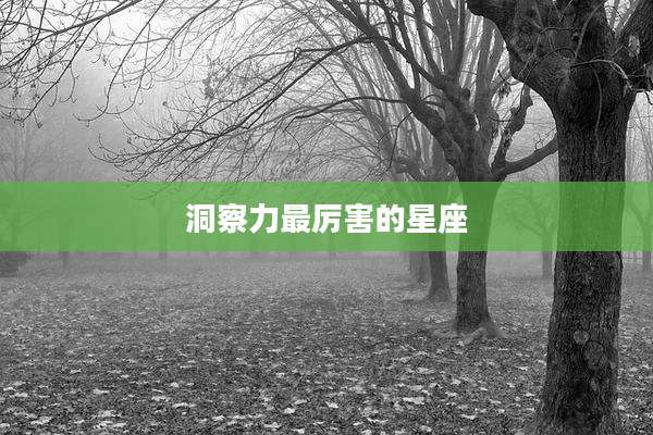 洞察力最厉害的星座