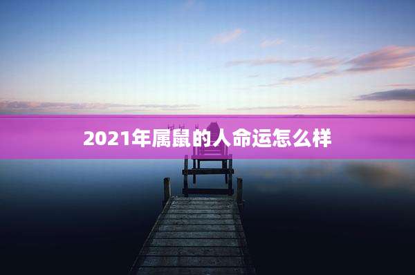 2021年属鼠的人命运怎么样