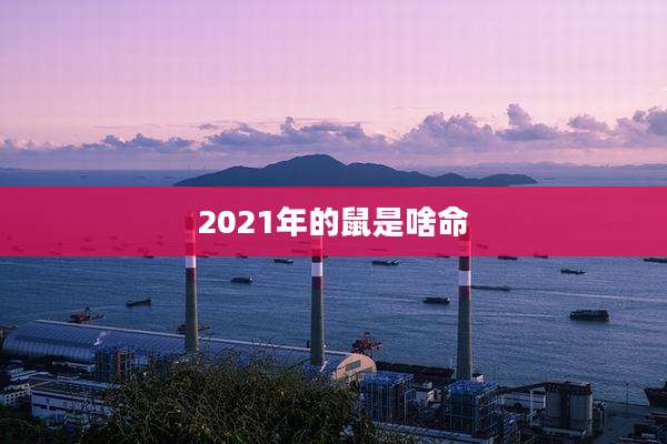 2021年的鼠是啥命