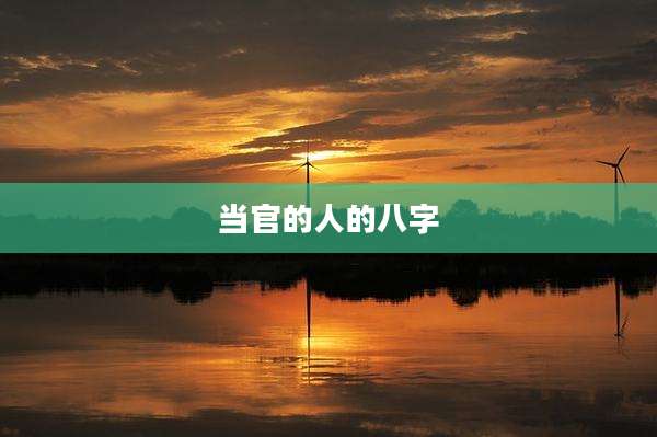 当官的人的八字