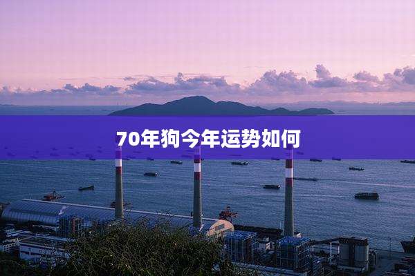 70年狗今年运势如何
