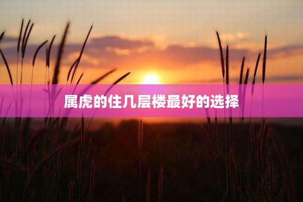 属虎的住几层楼最好的选择