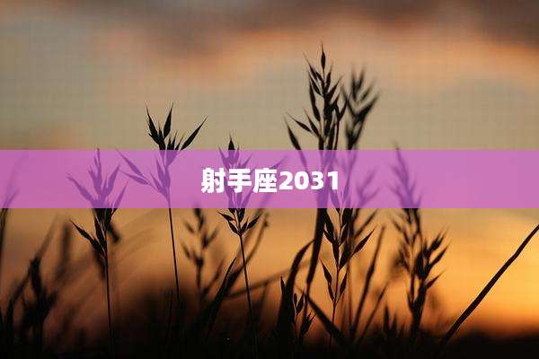 射手座2031