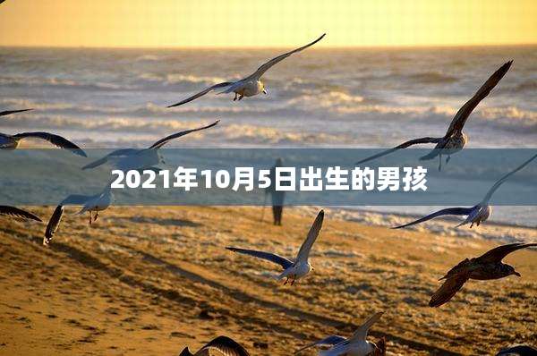 2021年10月5日出生的男孩
