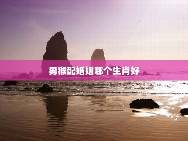 男猴配婚姻哪个生肖好