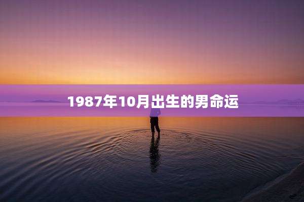 1987年10月出生的男命运