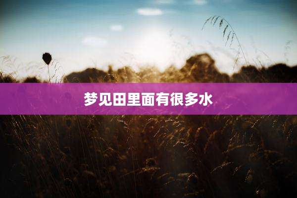 梦见田里面有很多水