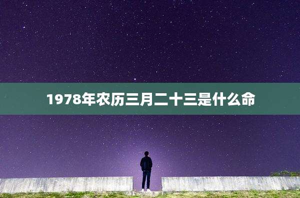 1978年农历三月二十三是什么命