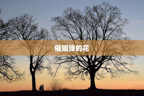 催姻缘的花
