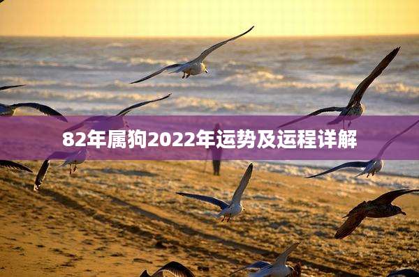 82年属狗2022年运势及运程详解