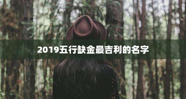 2019五行缺金最吉利的名字