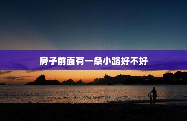 房子前面有一条小路好不好