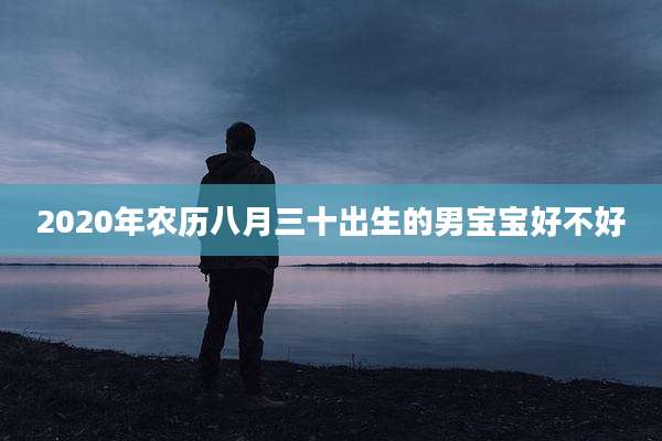 2020年农历八月三十出生的男宝宝好不好