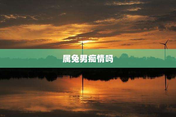 属兔男痴情吗