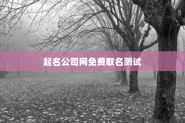 起名公司网免费取名测试