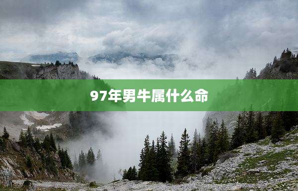 97年男牛属什么命