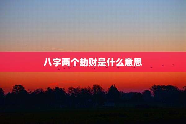 八字两个劫财是什么意思