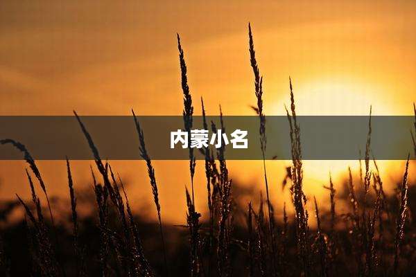 内蒙小名