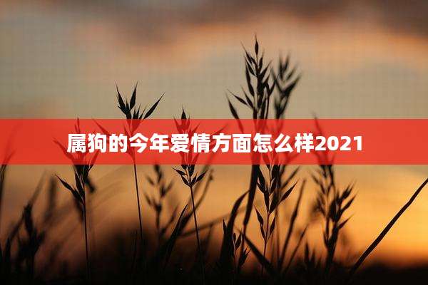 属狗的今年爱情方面怎么样2021