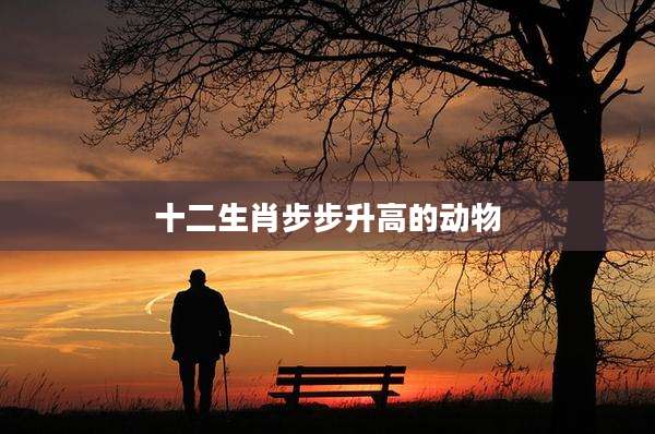 十二生肖步步升高的动物