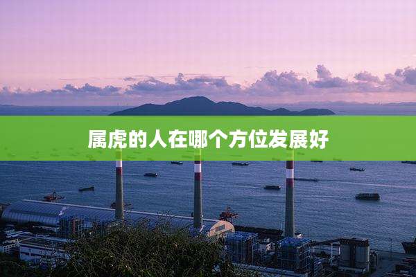属虎的人在哪个方位发展好