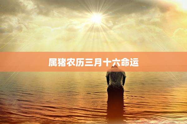 属猪农历三月十六命运