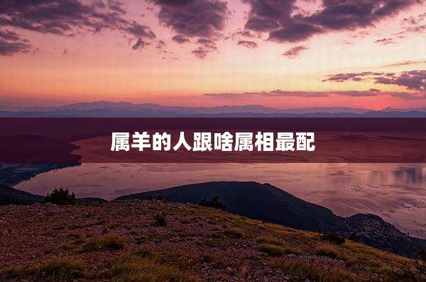 属羊的人跟啥属相最配