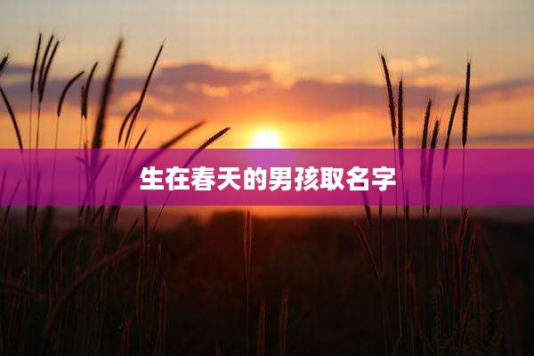 生在春天的男孩取名字