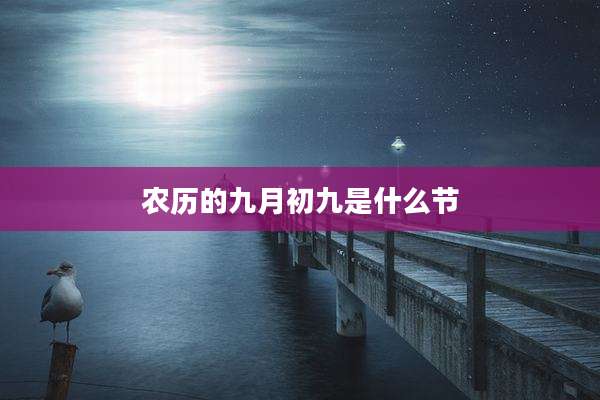 农历的九月初九是什么节