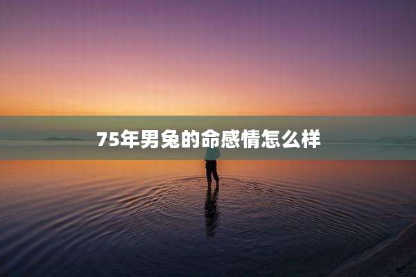 75年男兔的命感情怎么样