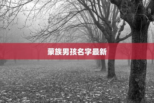 蒙族男孩名字最新