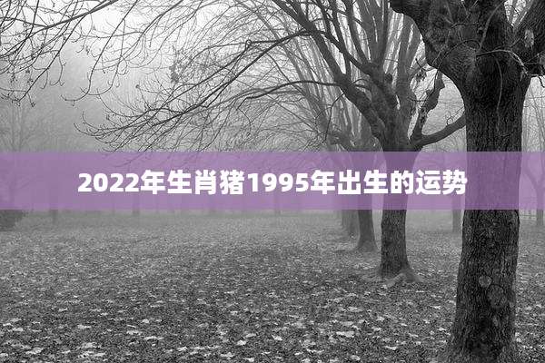 2022年生肖猪1995年出生的运势