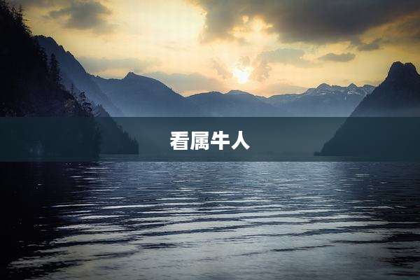 看属牛人