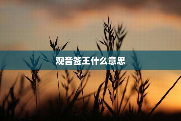 观音签王什么意思