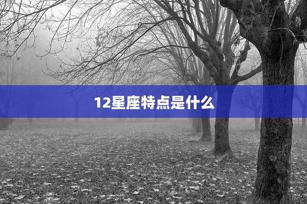12星座特点是什么