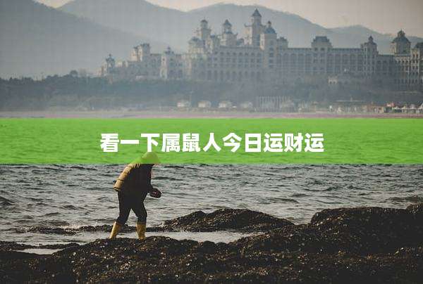 看一下属鼠人今日运财运