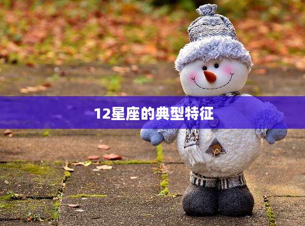 12星座的典型特征