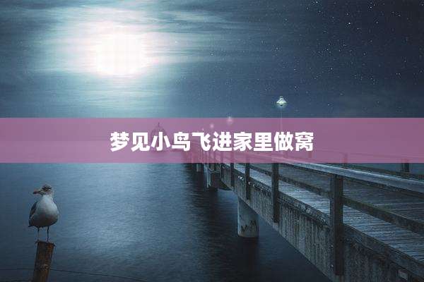 梦见小鸟飞进家里做窝