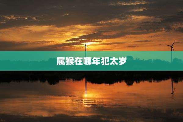 属猴在哪年犯太岁